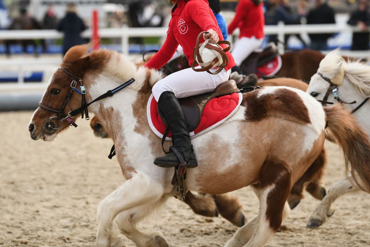 Luxury Chauffeur Service For Cheltenham Festival