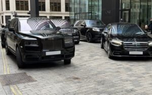 Professional Chauffeur Service